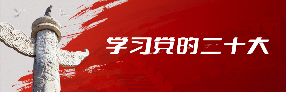 学习党的二十大